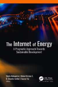 The Internet of Energy : A Pragmatic Approach Towards Sustainable Development