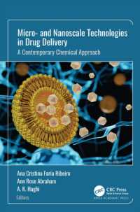 Micro- and Nanoscale Technologies in Drug Delivery : A Contemporary Chemical Approach