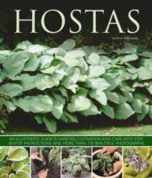 Hostas : an Illustrated Guide to Varieties, Cultivation and Care, with Step-by-step Instructions and More than 130 Beautiful Photographs