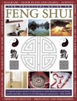 The Practical Guide to Feng Shui : Using the Ancient Powers of Placement to Create Harmony in Your Home, Garden and Office, Shown in over 800 Diagrams