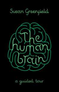 The Human Brain : A Guided Tour (Science Masters)