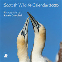 Scottish Wildlife Calendar 2020 （WAL）