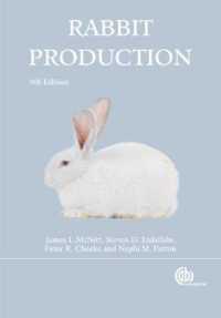 Rabbit Production （9TH）