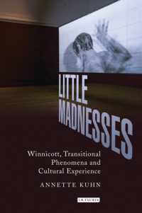 Little Madnesses : Winnicott, Transitional Phenomena & Cultural Experience (International Library of Cultural Studies)