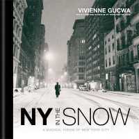 NY in the Snow : A Magical Vision of New York City