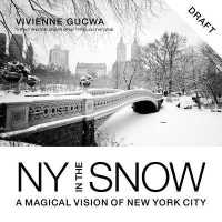 New York in the Snow : A Magical Vision of New York City