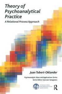 Theory of Psychoanalytical Practice : A Relational Process Approach (The International Psychoanalytical Association Psychoanalytic Ideas and Applications Series)