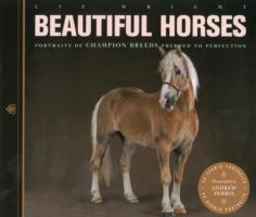 Beautiful Horses : Portraits of Champion Breeds