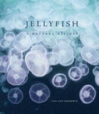 Jellyfish : A Natural History -- Hardback