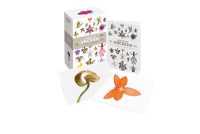 A Box of Orchids : 100 Beautiful Postcards （POS）