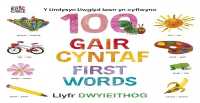 Y Lindysyn llwyglyd Iawn yn cyflwyno 100 Gair Cyntaf (First Words) （Board Book）