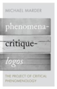 Phenomena-critique-logos : The Project of Critical Phenomenology -- Paperback / softback