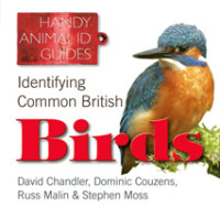 Identifying Common British Birds (Handy Petcare Guides) -- Paperback / softback