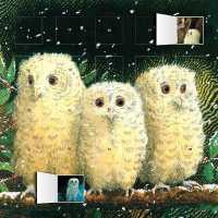 Owl Babies Calendar with Stickers （ADV）