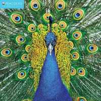 Peacocks 2017 Calendar （WAL）