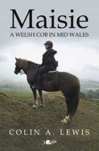 Maisie - a Welsh Cob in Mid Wales