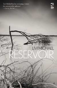 Reservoir (Salt Modern Fiction)
