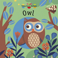 Owl (Tales from Nature) -- Board book