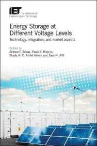 Energy Storage at Different Voltage Levels : Technology, integration, and market aspects (Energy Engineering)