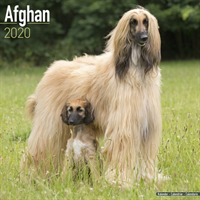 Afghan Calendar 2020