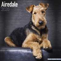 Airedale Calendar 2020