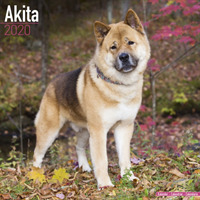 Akita Calendar 2020