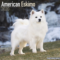 American Eskimo Calendar 2020