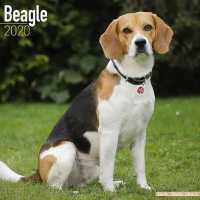 Beagle Calendar 2020