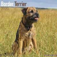 Border Terrier Calendar 2020