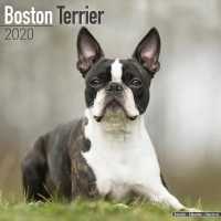 Boston Terrier Calendar 2020