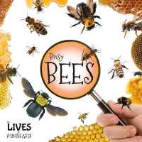 Busy Bees (The Lives of Minibeasts)