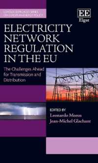 ＥＵの電力ネットワーク規制：今後の課題<br>Electricity Network Regulation in the EU : The Challenges Ahead‎ for Transmission and Distribution (Loyola de Palacio Series on European Energy Policy)