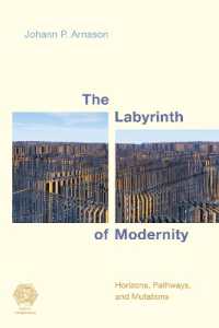 The Labyrinth of Modernity : Horizons, Pathways and Mutations (Social Imaginaries)