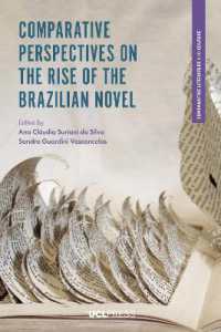 Comparative Perspectives on the Rise of the Brazilian Novel (Comparative Literature and Culture)