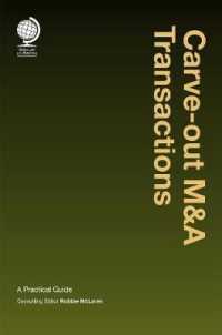 M&A取引におけるカーブアウト：実務ガイド<br>Carve-out M&A Transactions : A Practical Guide