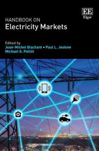 電力市場ハンドブック<br>Handbook on Electricity Markets