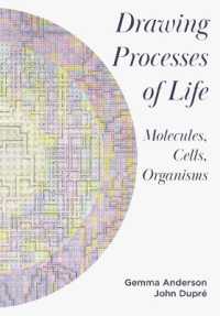 Drawing Processes of Life : Molecules, Cells, Organisms