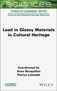 Lead in Glassy Materials in Cultural Heritage