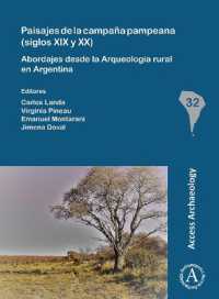 Paisajes de la campaña pampeana (siglos XIX y XX): Abordajes desde la Arqueología rural en Argentina (South American Archaeology Series)