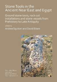 Stone Tools in the Ancient Near East and Egypt : Ground stone tools, rock-cut installations and stone vessels from Prehistory to Late Antiquity (Archaeopress Ancient Near Eastern Archaeology)