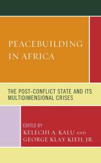 Peacebuilding in Africa : The Post-Conflict State and Its Multidimensional Crises