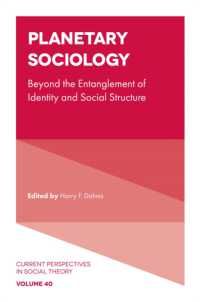 Planetary Sociology : Beyond the Entanglement of Identity and Social Structure (Current Perspectives in Social Theory)