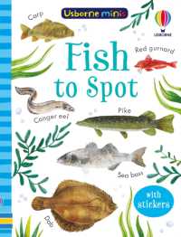 Fish to Spot (Usborne Minis)