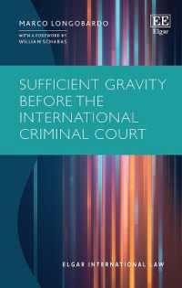Sufficient Gravity before the International Criminal Court (Elgar International Law series)