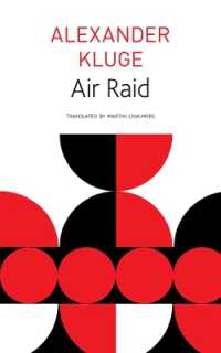 Air Raid (The Seagull Library of German Literature)