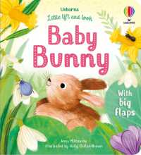 Little Lift and Look Baby Bunny (Little Lift and Look) （Board Book）