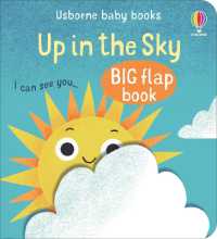 Up in the Sky (Baby's Big Flap Books) （Board Book）