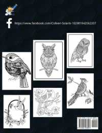 Birds Coloring Book （Large Print）