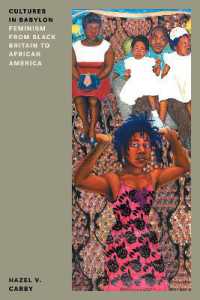 Cultures in Babylon : Feminism from Black Britain to African America (Feminist Classics)
