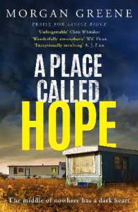 A Place Called Hope : An utterly compelling, evocative small-town crime thriller